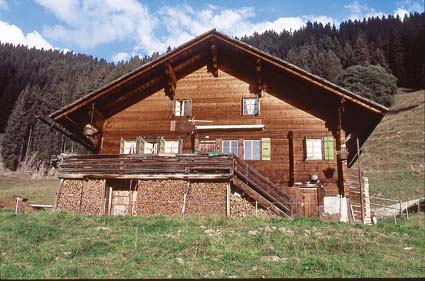 1072_3.jpg