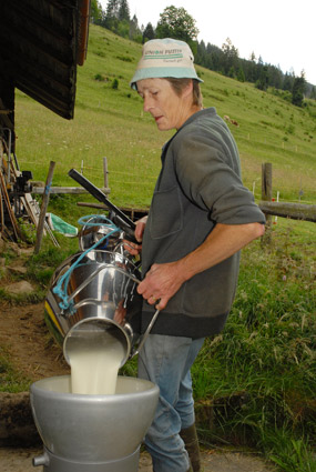 1242_9.jpg