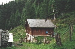 236_4.jpg