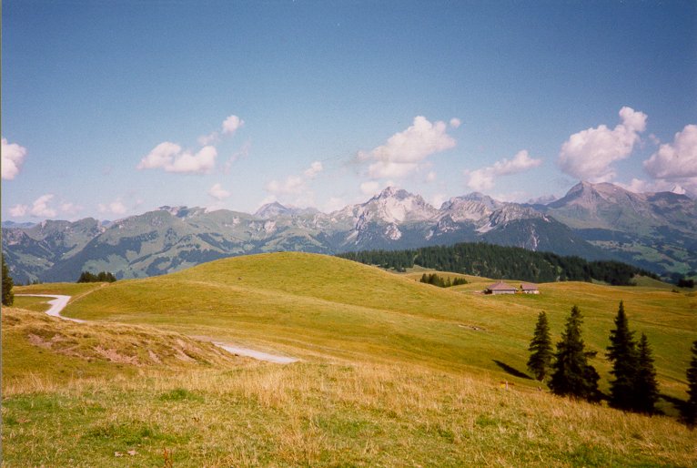 921_1.jpg